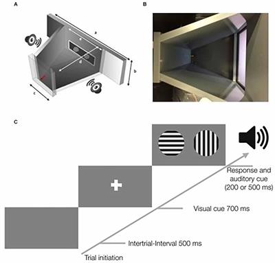 A flexible Python-based <mark class="highlighted">touchscreen</mark> chamber for operant conditioning reveals improved visual perception of cardinal orientations in mice